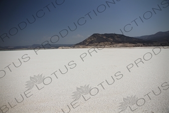 Salt Flats around Lake Assal in Djibouti