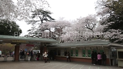 Shinjuku Gyoen National Park Entrance in Tokyo