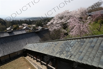 Temple Buildings in Todaiji in Nara