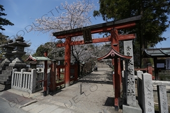 Torii of Himuro Jinja in Nara