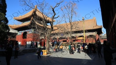 Four Language Stele Pavilion/Imperial Handwriting Pavilion (Sijiaoyu Beiting) and the Hall of Peace and Harmony (Yonghegong Dian) in the Lama Temple in Beijing