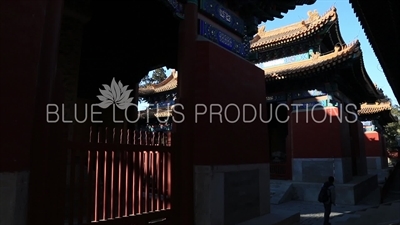 Stone Tablet Housing Pavilions (Beiting) in the Confucius Temple in Beijing