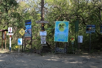 Road Leading to Playa Guiones in Nosara