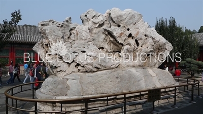 Blue Iris Stone/Stone of the Wastrel (Qingzhixiu) outside the Hall of Happiness and Longevity (Leshou Tang) in the Summer Palace in Beijing