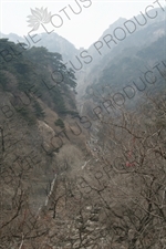 Stairway Leading to the Summit of Mount Tai (Tai Shan) in Shandong Province