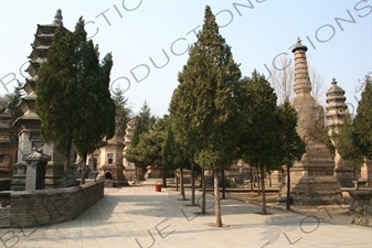 Pagoda Forest at the Shaolin Temple in Dengfeng