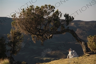 Woman Sitting under a Tree in Simien Mountains National Park