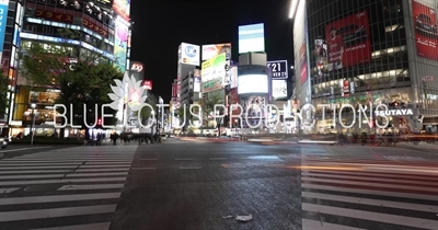 Time-Lapse of Shibuya Pedestrian Crossing at Night in Tokyo