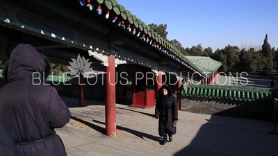 People Walking to the Hall of Prayer for Good Harvests (Qi Nian Dian) in the Temple of Heaven in Beijing