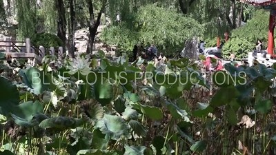 Southwest Waterscape Area in the Temple of the Sun Park (Ritan Gongyuan) in Beijing