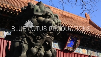 Guardian Lion in front of the Gate of Peace and Harmony (Yonghe Men) in the Lama Temple in Beijing