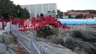 The Haeundae Sea and Wooden Bridge at Haedong Yonggung Temple (Haedong Yonggungsa) in Busan