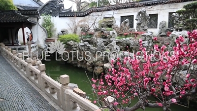 Yu Garden (Yuyuan) in Shanghai