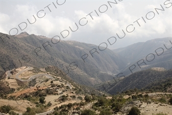 Mountain Road Leading to Massawa