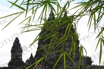 Buildings at Prambanan Temple Compound near Yogyakarta