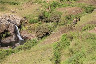 Oxen Ploughing by a Waterfall in Simien Mountains National Park