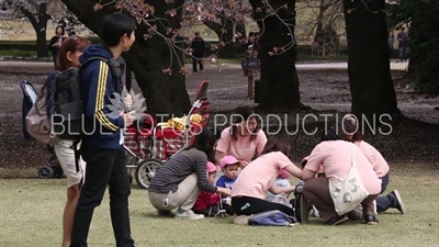 Children's Picnic in Shinjuku Gyoen National Park in Tokyo