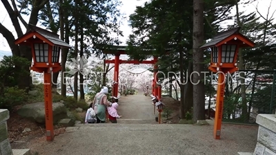 Arakura Sengen Shrine Torii near Fujiyoshida