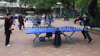 Shenzhen Park