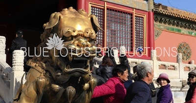 Guardian Lion Statue in front of the Gate of Heavenly Purity (Qianqing Men) in the Forbidden City in Beijing