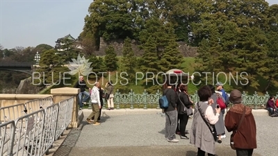 Tokyo Imperial Palace (Kokyo) Tourists