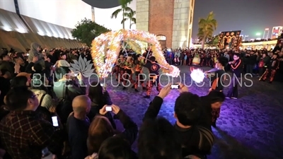 Kowloon Dragon Dance