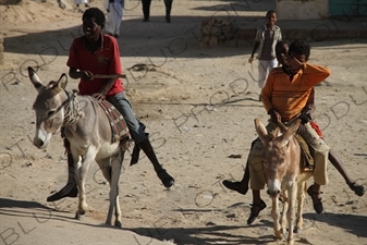 Children Riding Donkeys in Keren