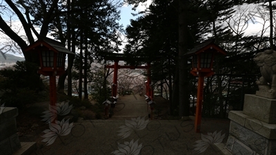 Torii at the Entrance to Arakura Sengen Shrine