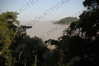 Lake Tana