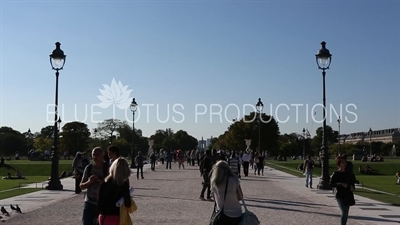 Tuileries Garden (Jardin des Tuileries) in Paris