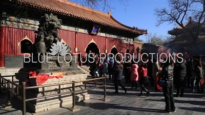 Guardian Lion in front of the Gate of Peace and Harmony (Yonghe Men) in the Lama Temple in Beijing