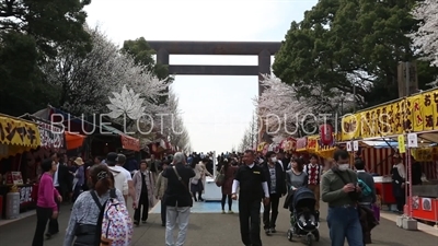 Yasukuni Shrine (Yasukuni-jinja) Food Stalls in Tokyo