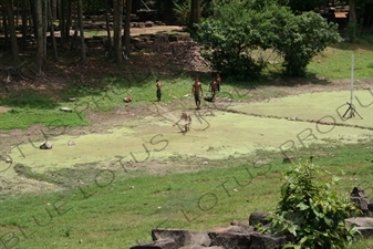 Boys Fishing in Angkor Thom