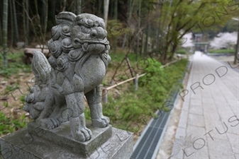 Lion Statue on the way to Hansobo above Kencho-ji in Kamakura