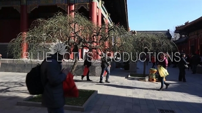 Pavilion of Peace (Yansui Ge) in the Lama Temple in Beijing