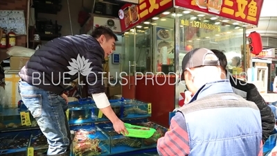 People Buying Shellfish at the Huangsha Aquatic Products Wholesale Market (Huangsha Shuichan Jiaoyi) in Guangzhou