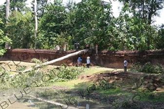 Workers Removing Fallen Tree from Banteay Srei in Angkor