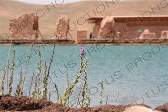 Ruined Buildings around the Lake at Takht-e Soleyman