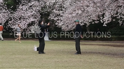 People Photographing Cherry Blossom in Shinjuku Gyoen National Park in Tokyo