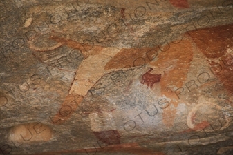 Prehistoric Cave Paintings in Laas Geel/Laas Gaal on the Outskirts of Hargeisa in Somaliland