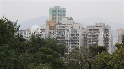 Macau Cityscape