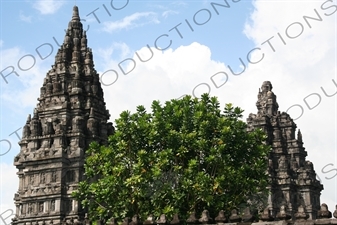 Building at Prambanan Temple Compound near Yogyakarta