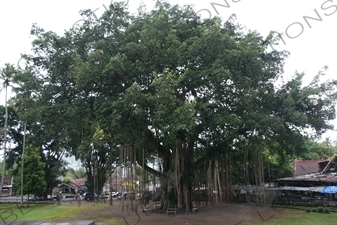 Mendut Temple