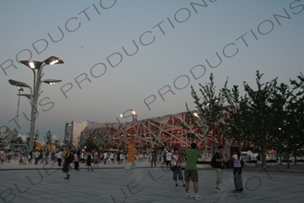 Bird's Nest/National Stadium (Niaochao/Guojia Tiyuchang) in the Olympic Park in Beijing