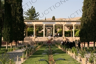 Eram Garden in Shiraz