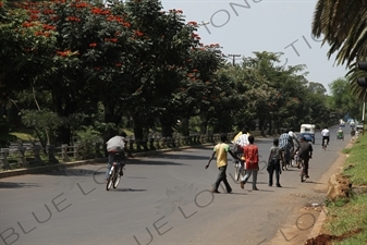 Road Leading from Lake Tana to the Blue Nile Falls