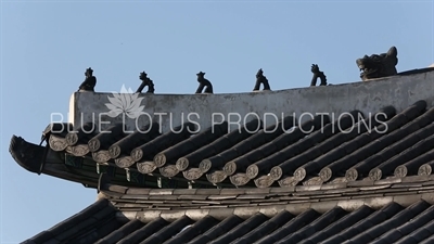 Roof Carvings at Changgyeong Palace (Changgyeonggung) in Seoul