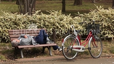 Kitanomaru Park/Garden Man Sleeping on a Bench in Tokyo