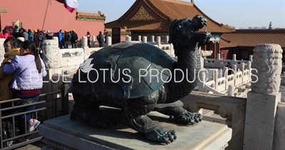 Turtle/Tortoise/Bixi Statue in front of the Hall of Supreme Harmony (Taihe Dian) in the Forbidden City in Beijing