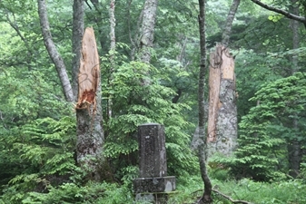 Second Station of the Yoshida Trail to Mount Fuji